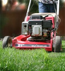 lawn mower